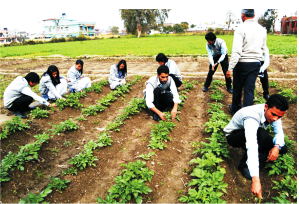 AGRICULTURE COURSES